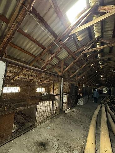 на ферму: Farm КРС, 270 соток, Действующий, Частично с оборудованием, Электричество, Скважина — 5