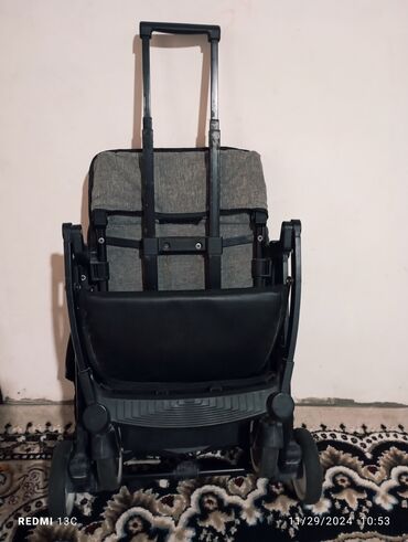 Modullu arabalar: Cins: Oğlan