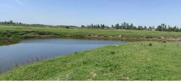 аренда помещения на ошском рынке: Сатам Кой короо, 2000 соток, Скважина