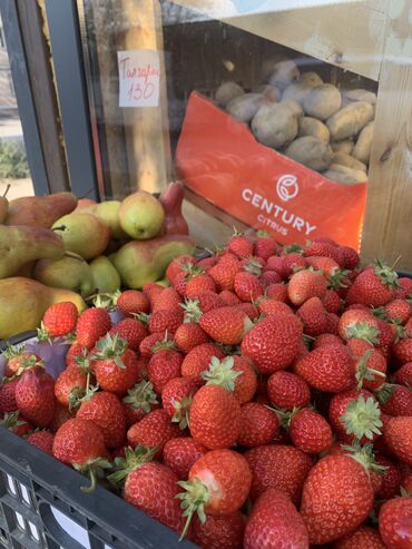 работа в турции в отеле бишкек: Требуется Продавец-консультант в Продуктовый магазин, График: Шестидневка, % от продаж, Полный рабочий день