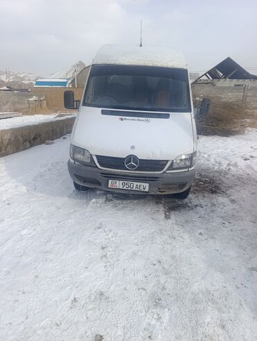 Mercedes-Benz: Mercedes-Benz Спринтер: 2003 г., 3 л, Механика, Дизель, Бус — 10