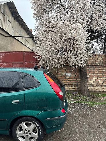bud e9: Nissan Almera Tino: 2001 г., 1.8 л, Механика, Бензин, Минивэн — 9
