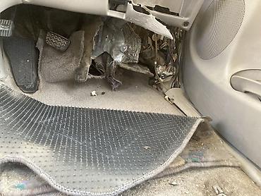 жако: Toyota Estima: 2001 г., 3 л, Автомат — 9