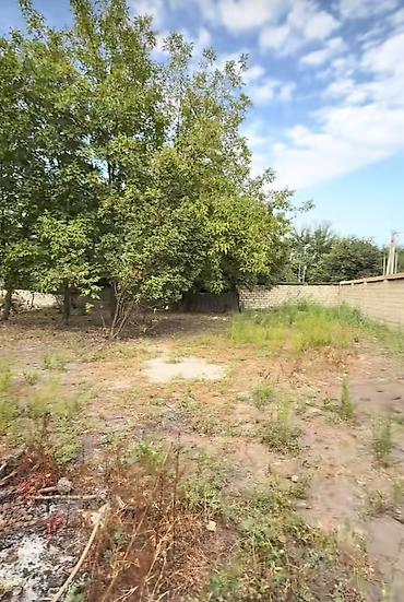 bine atciliq torpaq satilir: 10 sot, Tikinti, Barter mümkündür, Kupça (Çıxarış) — 6
