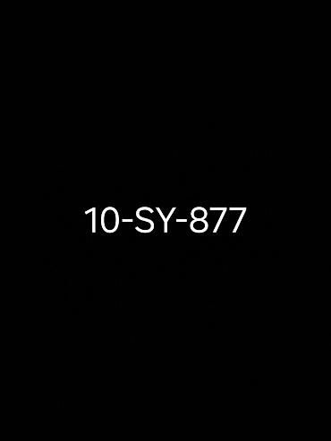 avtomobil aksesuarları: Nömrə kombinasiyası: 10-SY-877 - Azərbaycan dövlət qeydiyyat nişanı — 1