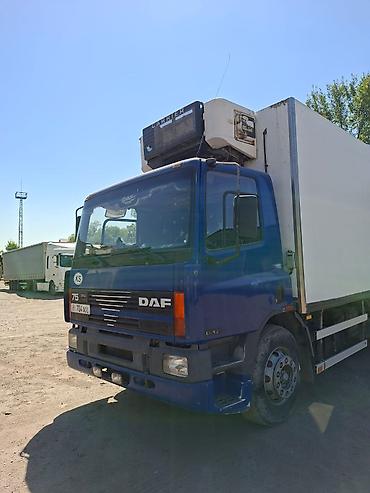 eafc 25: Грузовик, DAF, Стандарт, 7 т, Б/у — 5