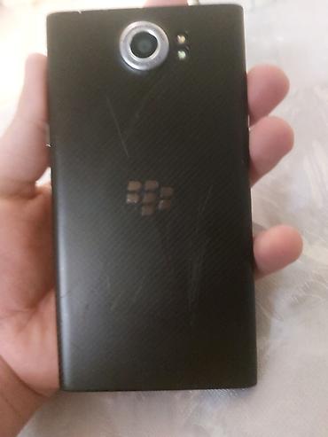 Ежевика: Ежевика Priv, цвет - Черный — 8