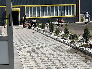 мотокоса цена: Мраморная крошка, Белый, Ландшафтная, Насыпью — 6
