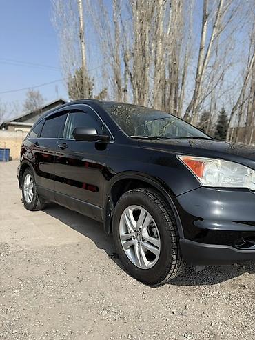 Honda: Honda CR-V: 2010 г., 2.4 л, Автомат, Бензин, Кроссовер — 3