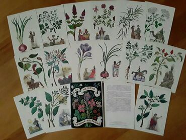 Açıqcalar: 2 штуки-1 манат.Советские открытки. Есть еще открытки, марки — 18