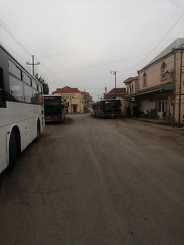 Uzunmüddətli kirayə evlər: 80 kv. m, 3 otaqlı -da lalafo.az — 7 Uzunmüddətli kirayə evlər: 80 kv. m, 3 otaqlı — 7