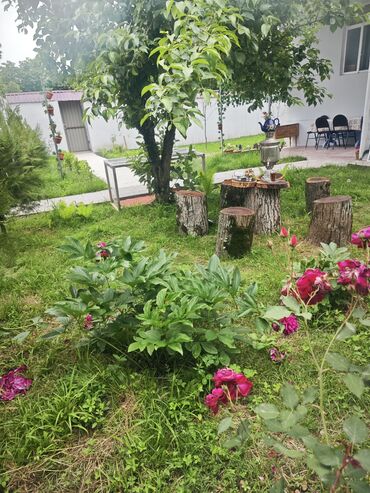badamdarda ucuz kiraye evler: 100 м², 3 комнаты, Газ, Электричество, Водопровод