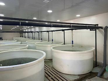 Продажа цехов, заводов, фабрик: С оборудованием, Действующий, 300 м² — 1