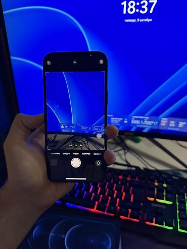 Apple iPhone: IPhone 12 Pro Max, 256 GB, Pacific Blue, Face ID, Barmaq izi — 5