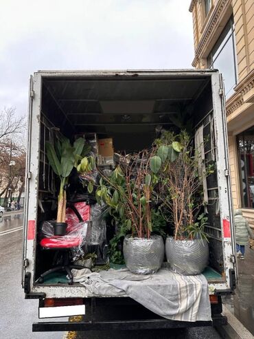 Oyuncaqlar: Yuk dasima. Yuk dashimasi. Yük daşıma. Bag evlerinin kocurulmesi. bina — 3