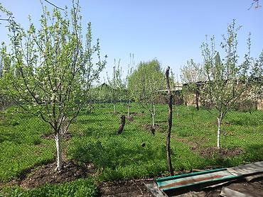 баят участок: 12 соток, Для строительства — 6