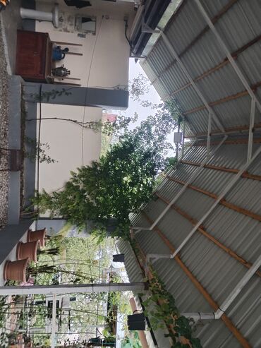 Həyət evləri və villaların satışı: 1 otaqlı, 36 kv. m, Yeni təmirli — 20