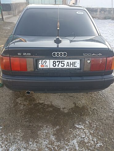 Audi: Audi 100: 1991 г., Седан — 5