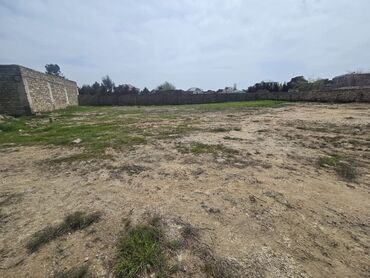 Torpaq sahələrinin satışı: 25 sot, Tikinti, Mülkiyyətçi, Kupça (Çıxarış) -da lalafo.az — 13 Torpaq sahələrinin satışı: 25 sot, Tikinti, Mülkiyyətçi, Kupça (Çıxarış) — 13