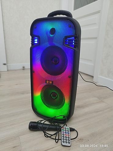 ace pro: Портативная акустическая система T-S CH-6607 - Диаметр динамиков: 2 × — 3