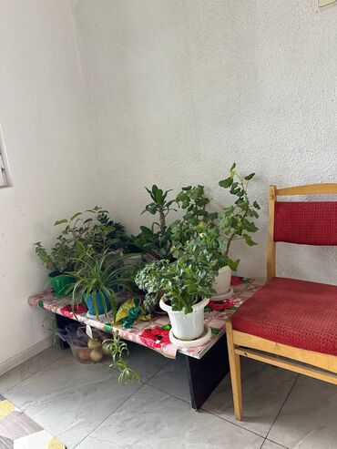 Продажа домов: Дом, 110 м², 5 комнат, Агентство недвижимости, Старый ремонт — 5