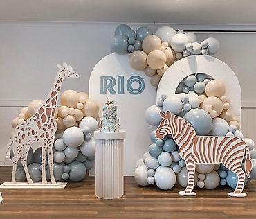 Организация мероприятий: Организация мероприятий | Гелевые шары, Букеты, флористика, Аниматоры — 7