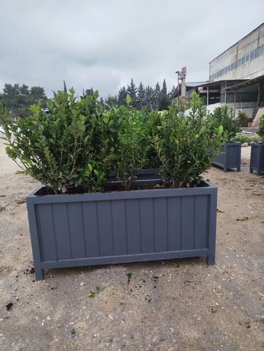 Bitkilər üçün dibçəklər: Məhsul: Dekorativ uzun formalı dibçəklər (ağac/kol əkilmiş) Endirim — 2