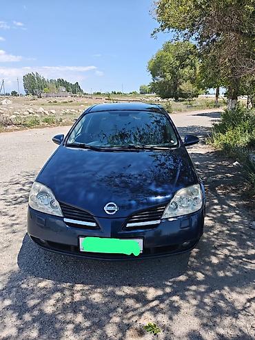 диск ниссан примера: Nissan Primera: 2004 г., 1.8 л, Механика, Седан — 8
