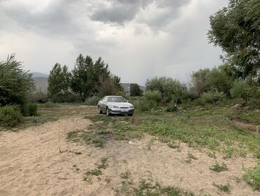 где купить машину дешевле: Toyota Windom: 2000 г., 2.5 л, Автомат, Бензин, Седан