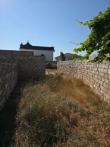 albali: 8 sot, Mülkiyyətçi, Kupça (Çıxarış) — 8