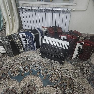 клавишные инструменты: Аккордеоны (клавишные баяны) разных моделей и расцветок. Особенности — 1