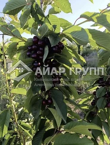 Продажа участков: 80 соток, Для сельского хозяйства — 2