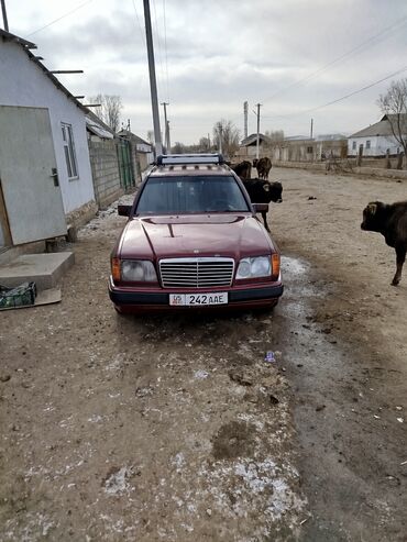 Mercedes-Benz: Mercedes-Benz 220: 1993 г., 2.2 л, Механика, Газ, Универсал