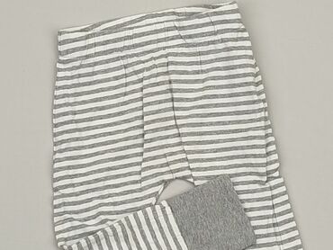 tchibo majtki: Spodnie dresowe, Tchibo, 9-12 m, stan - Bardzo dobry