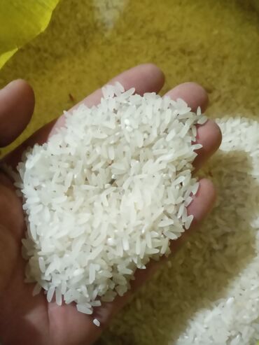Дом и сад: 2 тона