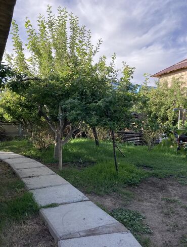 Продажа домов: Дом, 365 м², 15 комнат, Собственник, Евроремонт — 3