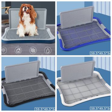 Зоотовары: ПРОДАЮ КОШАЧЬЮ МЯТУ(АНТИСТРЕСС),ПОРАДУЙТЕ СВОГО КОТИКА ТАКОЙ at lalafo.kg — 23 Зоотовары: ПРОДАЮ КОШАЧЬЮ МЯТУ(АНТИСТРЕСС),ПОРАДУЙТЕ СВОГО КОТИКА ТАКОЙ — 23