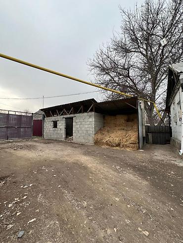 Продажа коттеджей и домов: 🔷 ПРОДАЁТСЯ ДОМ В с. СОКУЛУК 🔷 🔹 Участок: 15 соток 🔹 На участке: 2 — 3