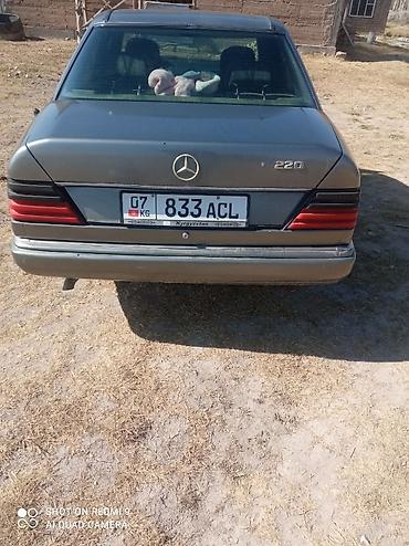 Mercedes-Benz 220: 1992 г., 2.2 л, Механика, Бензин, Седан