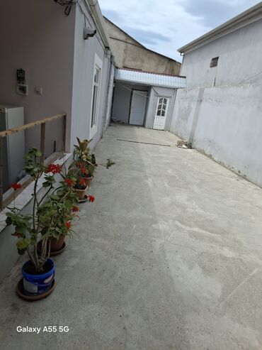 Uzunmüddətli kirayə evlər: 1111 kv. m, 2 otaqlı -da lalafo.az — 12 Uzunmüddətli kirayə evlər: 1111 kv. m, 2 otaqlı — 12