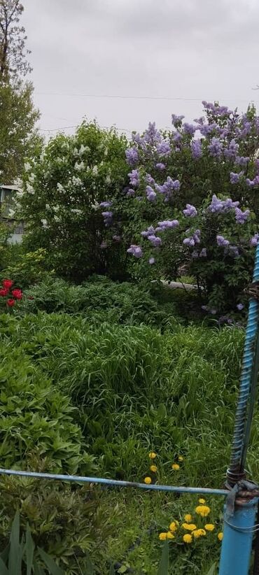 Продажа участков: 5 соток, Для строительства — 7