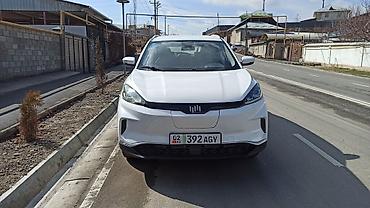 Weltmeister: Weltmeister EX5, 2020 г., Передний — 1