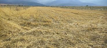 terracan: 2000 соток Для сельского хозяйства — 6