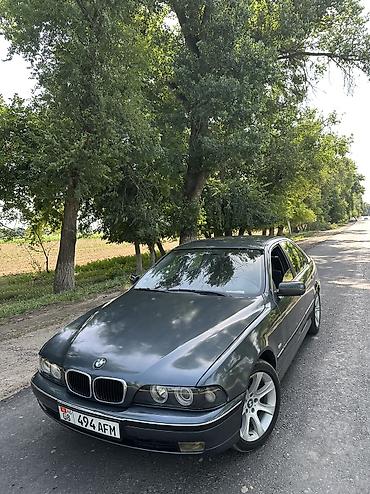 BMW: BMW 5 series: 2000 г., 2.5 л, Механика, Бензин, Седан — 6
