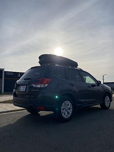 Subaru: Subaru Forester: 2019 г., 2.5 л, Вариатор, Электромобиль, Кроссовер — 6