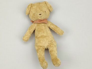 spodnie winylowe pull and bear: Mascot Teddy bear, condition - Very good