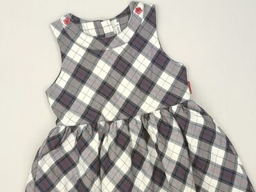 sinsay sukienki plus size: Dress, Coccodrillo, 3-4 years, 98-104 cm, condition - Very good