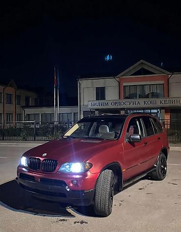 BMW X5: 2004 г., 3 л, Автомат, Дизель, Кроссовер