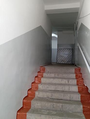 Покраска: Покраска стен, Покраска потолков, Покраска окон, На масляной основе, На водной основе, Больше 6 лет опыта — 4