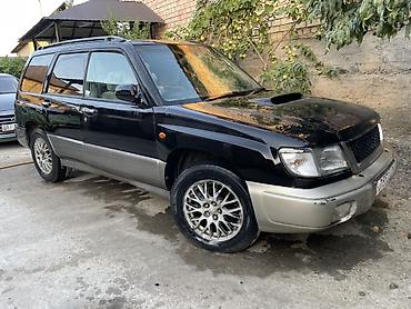 subaru forester цена бишкек: Subaru Forester: 1997 г., 2 л, Автомат, Бензин, Универсал — 1